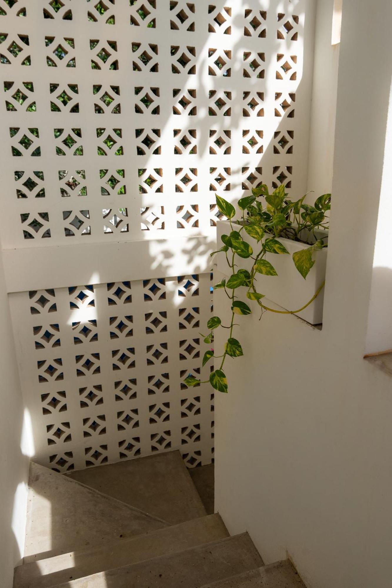 Casa Guapita *