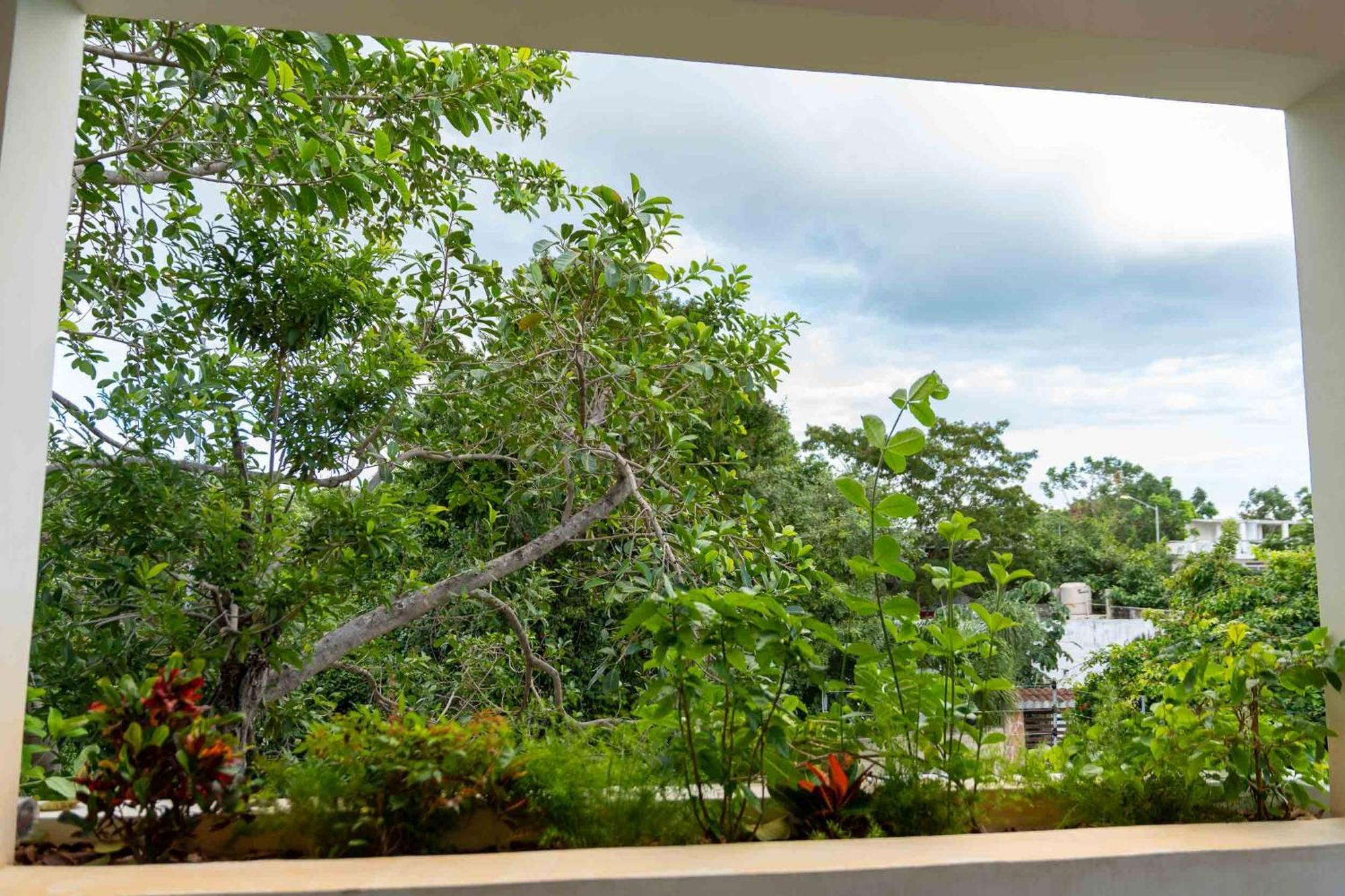 Pensión Casa Guapita Playa del Carmen